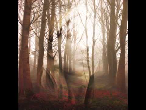 Damabiah - Sur les genoux de l'automne