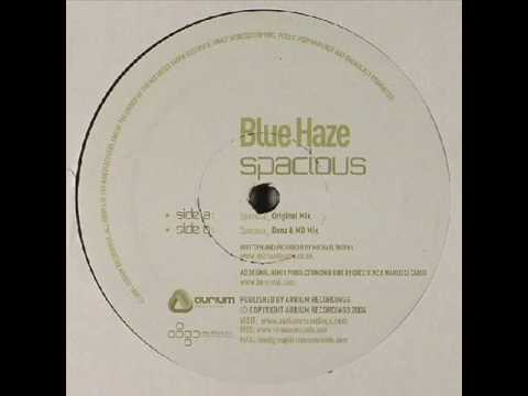 Blue Haze - Spacious (Benz & MD Remix)