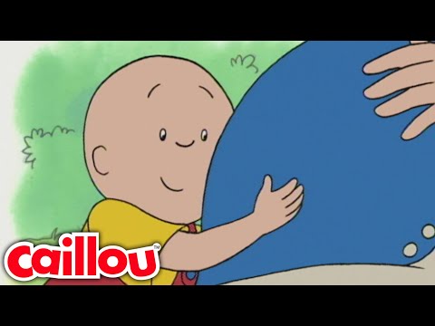 Grande Irmão Caillou | Caillou Português - WildBrain | Aprendendo para crianças