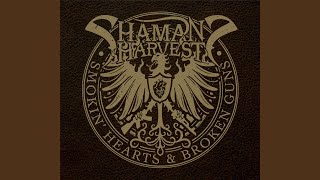 Video thumbnail of "Shaman's Harvest - Dangerous (Acoustic Version)"