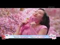 Iklan So Klin Experience Series Sakura Keharuman Bunga Sakura 30s
