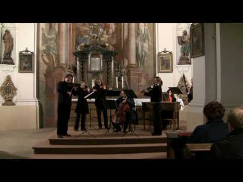 Verner Collegium - The Winter played in 5°C