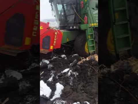 Fermierii din Alamor