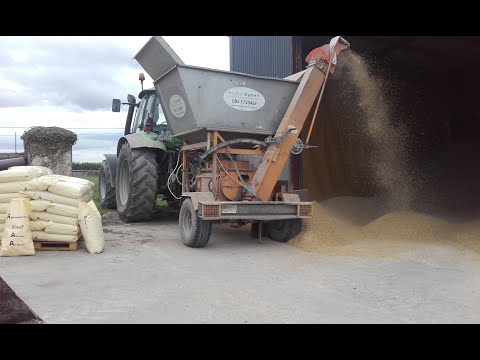 Mobile grain rolling - Image 2