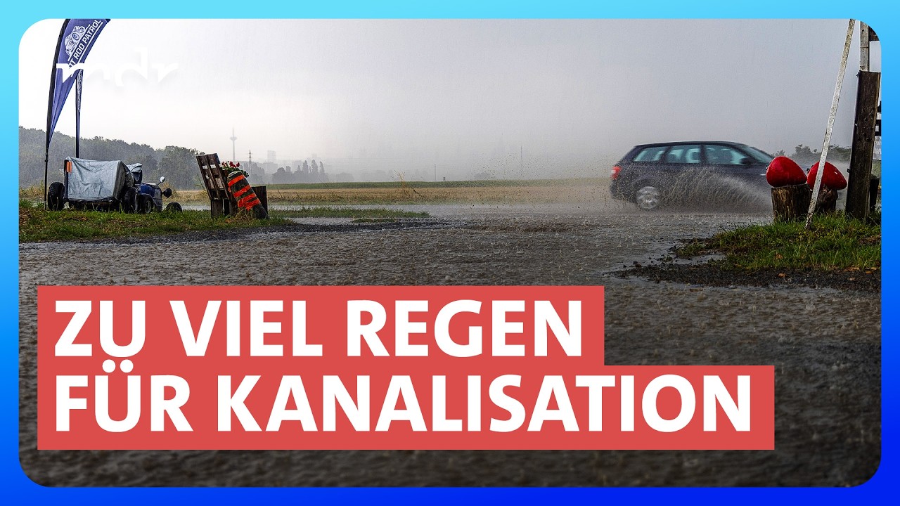 Die Stadt denkt mit: KI gegen Klimaextreme | Umschau | MDR