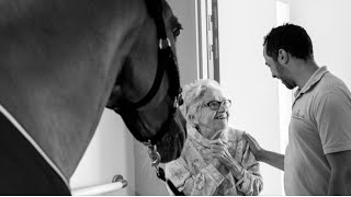 THE HORSE THAT WAS A THERAPIST, PEYO | HISTORY OF PEYO AND HASSEN | RENATO RIBEIRO