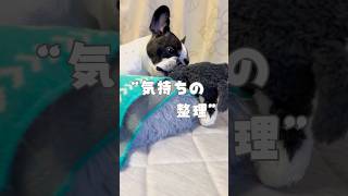 気持ちの整理をするフレブル