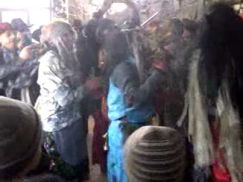 Banta Tiganeasca Topile