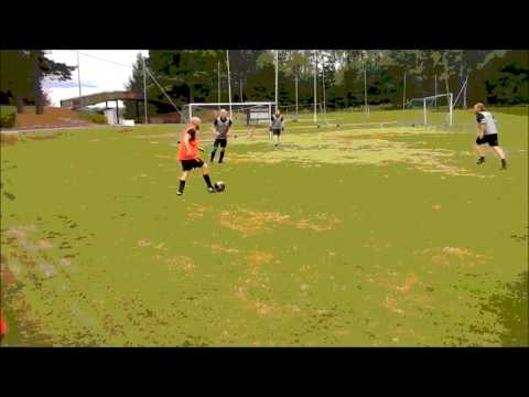 Brutal fällning eller filmning