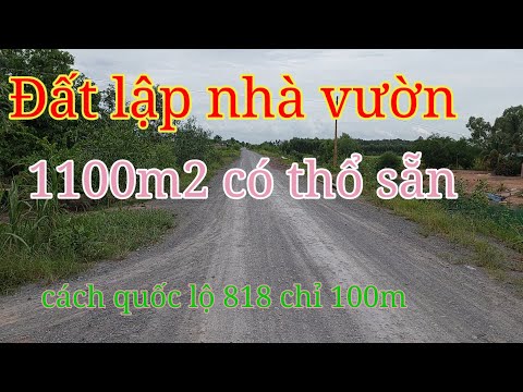 Bán đất tại Đường Quốc Lộ 818, Đức Huệ,  Long An diện tích 1,115m2  có thổ sẵn g
