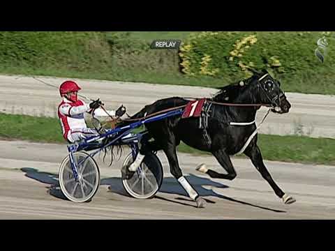 Aversa trotto 31 Ottobre 2020 - 2° Corsa