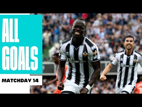 TODOS los GOLES de la JORNADA 14 de LALIGA HYPERMOTION 2025/26