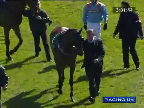 Master Minded Melling Chase 2011