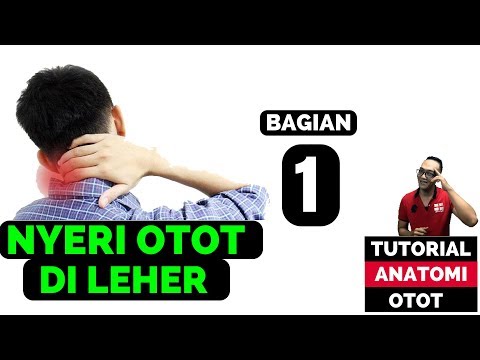 Aku berhenti merokok dan potensi minum Apa yang harus menerima sebagai impotensi laki-laki