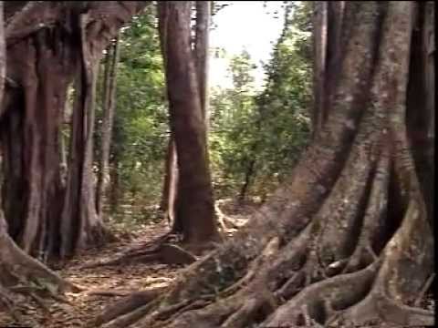 Gen Dequan - Dance of the Ethnic Yao People 哏德全 瑶族舞曲