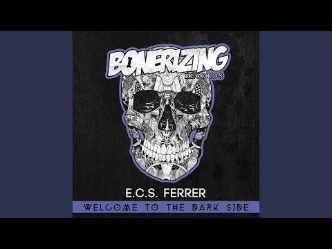 Welcome To The Dark Side (Original Mix)