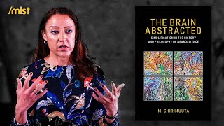 Abstraction & Idealization: AI's Plato Problem [Mazviita Chirimuuta]