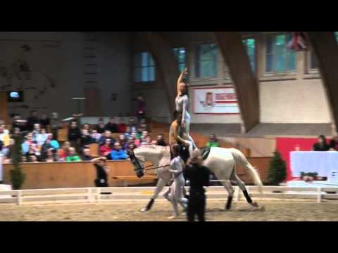 CVI Bern 2015 - Team Lütisburg