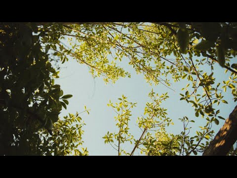 Sappheiros - Breathe In