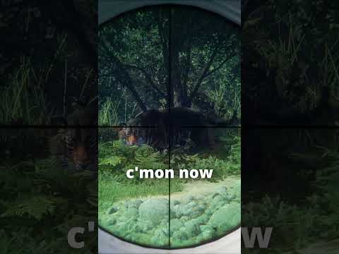 The RAREST tiger I've ever hunted 🐯🔫 | theHunter: Call of the Wild