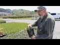 Hunting for Bonsai Material at a Plant Nursery – Raw Bonsai Material