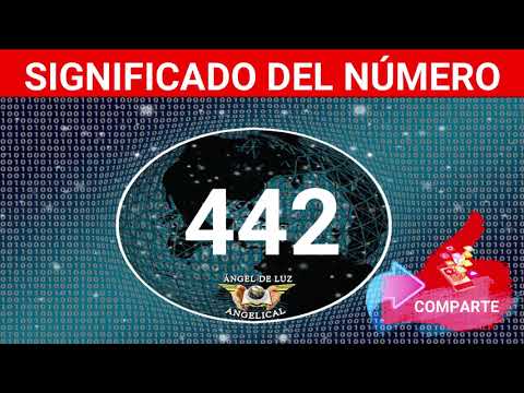 NUMEROLOGY🤍Meaning of the number 442❓ Number 442 in the spiritual realm🙏number 442 NUMBER