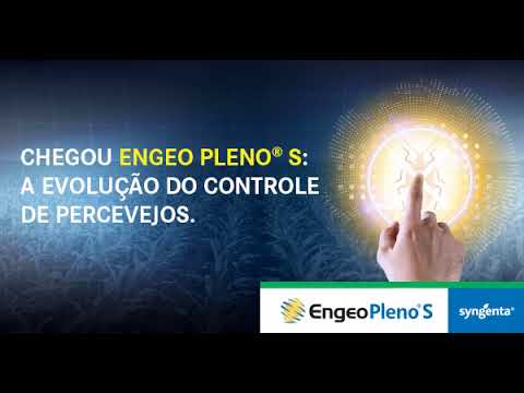 SYN 026 19 ENGEO MILHO REDE DISPLAY 600x314 3
