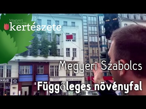 Függőleges növényfal - Megyeri Szabolcs online Kertészet - Növény rendelés Győr