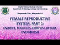Female Reproductive System Histology, part 1