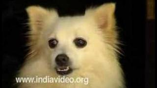 Old enmities forgotten