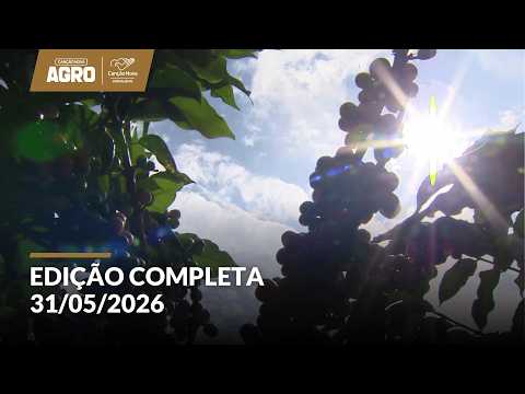 CN Agro destaca a produção de café em Cássia, Minas Gerais