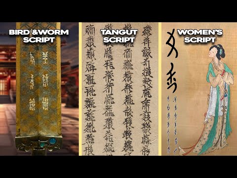 Alternative Chinese Writing Systems You NEVER Knew Existed