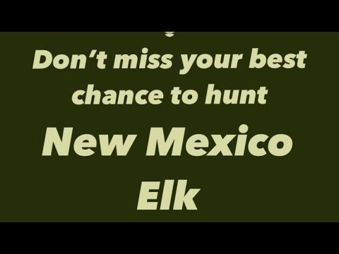 The Best New Mexico Elk Hunting