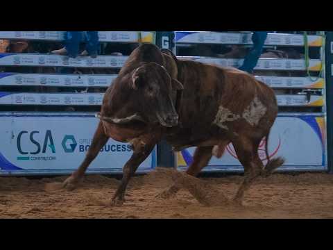 DISPUTA FINAL em TOUROS | RODEIO de ARUANÃ-GO 2026
