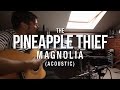 The Pineapple Thief - Magnolia (acoustic) (from ...