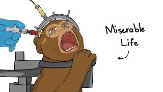Why It Sucks To Be a Lab Monkey