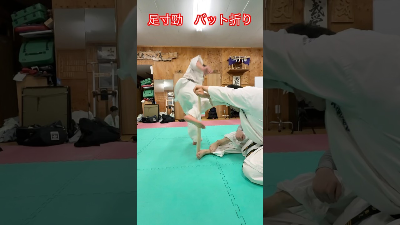 【武道・武術】足寸勁でバットを折ることは可能なのか！？やってみた！！#aikido ＃karate #martial #武道 #空手＃合気道＃筋トレ#selfdefens