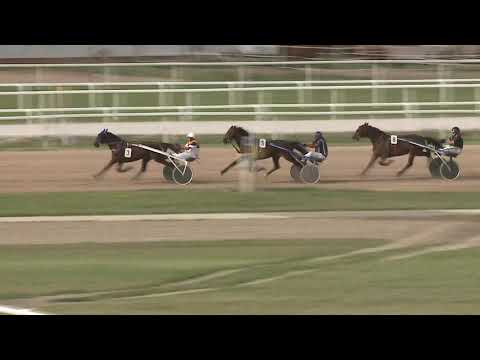 2020.07.11. 08. futam - 2020. ÉVI AMATŐR KUPA V. FUTAMA HENDIKEP