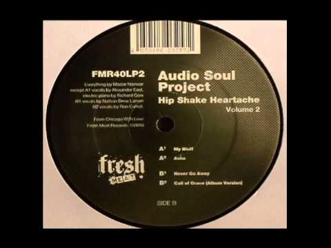 Audio Soul Project - Never Go Away - Fresh Meat Records