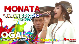 JARAN GOYANG JIHAN AUDY-MONATA OGAL LABUHAN 2017