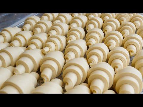MELHORES 6 fazendo uma variedade de croissants