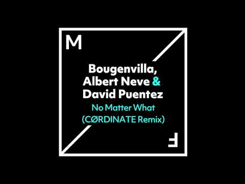Bougenvilla, Albert Neve & David Puentez - No Matter What (Cørdinate Remix)