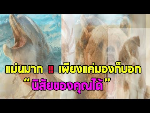 สาวรัสเซียรู้สึกตื่นเต้นที่จะดูออนไลน์ Creatine และความแข็งแรง