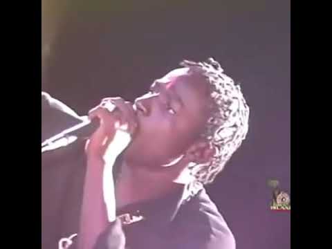 ninja man vs mad cobra