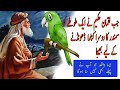 Luqman Haqeem Aur Totey Ka Waqaya History Off Hakeem Luqman And Perrot Find To Next Sea