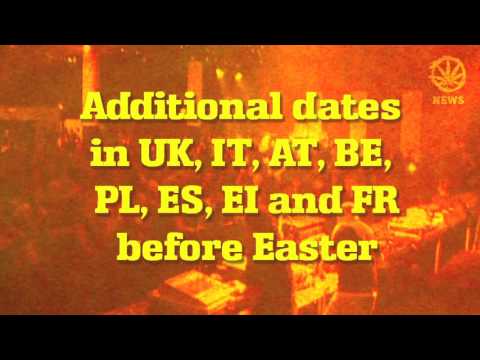 Zion Train News January 2017