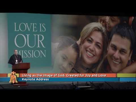 World Meeting of Families, 2015 - 09/23/2015 - Bishop Robert Barron