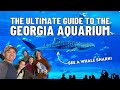 The Ultimate Guide To The Georgia Aquarium In Atlanta