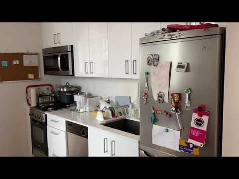 video 1