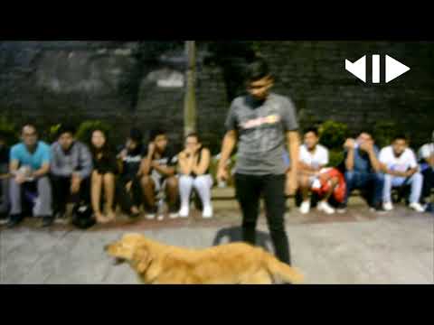 Washo vs Said - Filtro Cuarto Elemento | MeTiCuLoZo TV